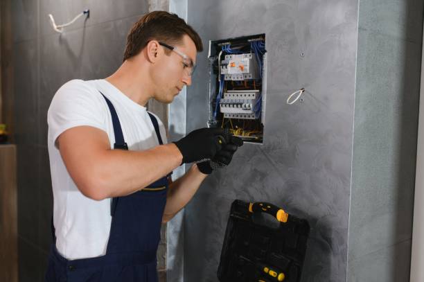 Best Industrial Electrical Services  in South Monroe, MI