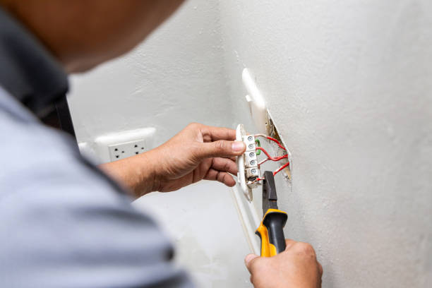 Best Electrical Upgrades for Homes  in South Monroe, MI